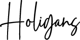Holigans