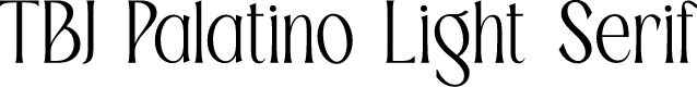 TBJ Palatino Light Serif