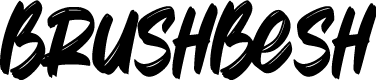 BrushBesh