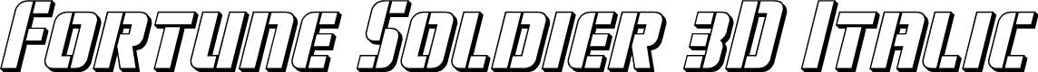 Fortune Soldier 3D Italic