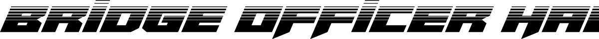 Bridge OFFicer Halftone
