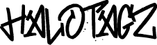 HALOTAGZ