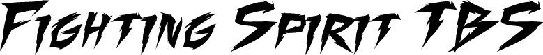 Fighting Spirit TBS