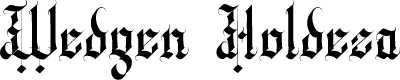 Wedgen Holdeza