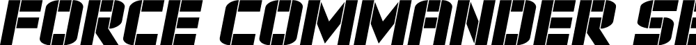 Force Commander Semi-Italic