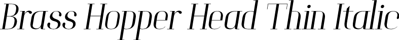 Brass Hopper Head PERSONAL Thin Italic