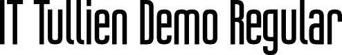 IT Tullien Demo Regular