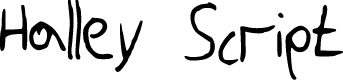 HalleyScriptThinNBP