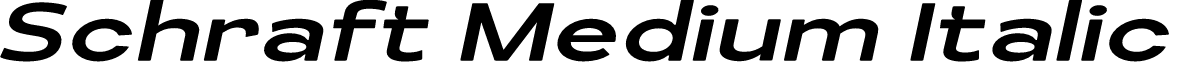 Schraft Medium Italic Expanded