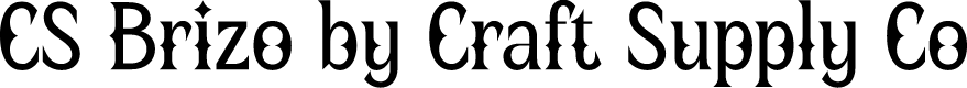 CS Brizo Regular Demo
