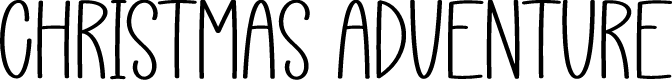 Christmas Adventure
