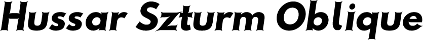Hussar Szturm Oblique
