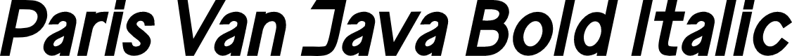 ParisVanJava Bold Italic