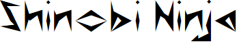 Shinobi Ninja