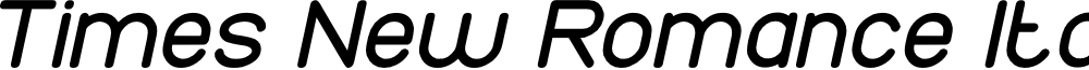 Times New Romance Italic