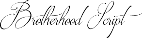 Brotherhood Script