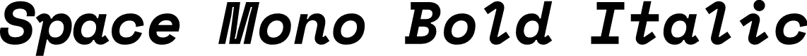 Space Mono Bold Italic