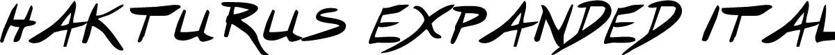 Hakturus Expanded Italic