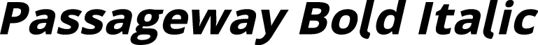 Passageway Bold Italic