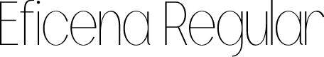 Eficena Personal Use Regular