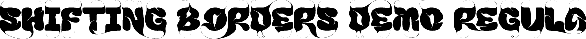 SHIFTING BORDERS DEMO REGULAR