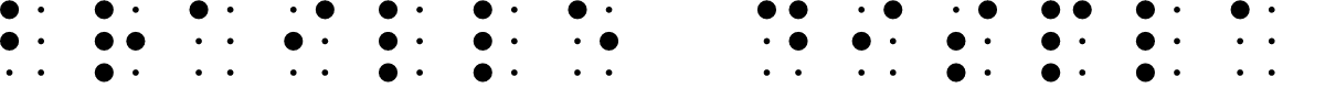 Braille Display Regular