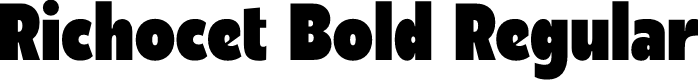 Richocet Bold Regular