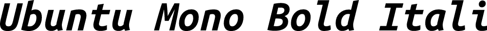 Ubuntu Mono Bold Italic
