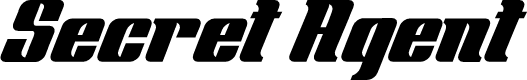 Secret Agent Personal Use