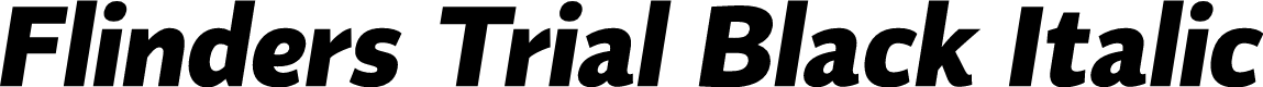 Flinders Trial Black Italic