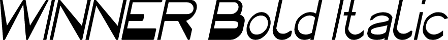 WINNER Bold Italic
