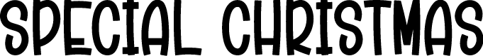 Special Christmas