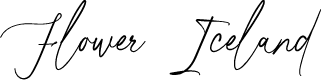 Flower Iceland