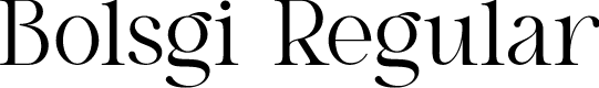 Bolsgi Regular