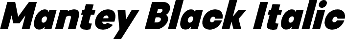 Mantey Black Italic