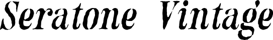 SeratoneVintageSerif-Italic Demo