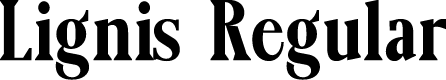 Lignis Regular