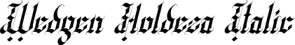 Wedgen Holdeza Italic