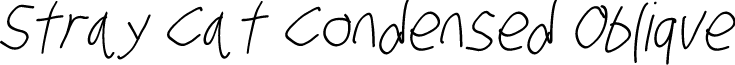 Stray Cat Condensed Oblique