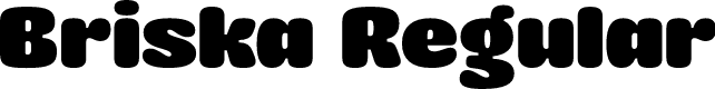 Briska Regular