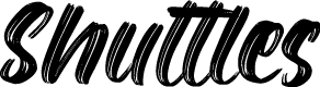 Shuttles Demo