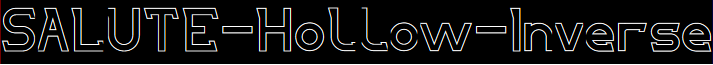SALUTE-Hollow-Inverse