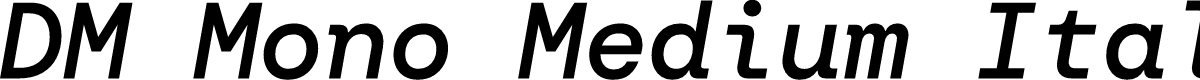 DM Mono Medium Italic