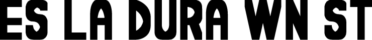 Es la dura wn St