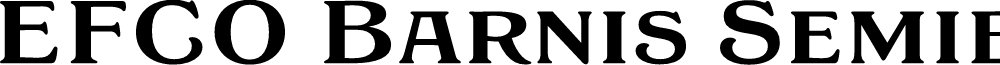 EFCO Barnis Semibold
