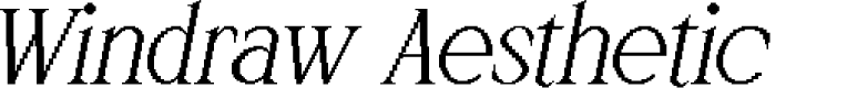 Windraw Aesthetic Italic