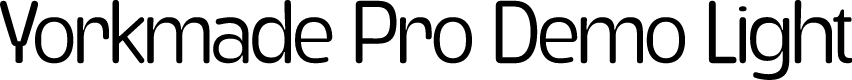 Yorkmade Pro Demo Light